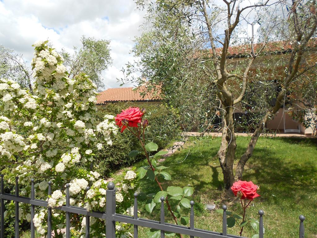 Гостьовий будинок Poggio Degli Olivi Сатурнія Екстер'єр фото
