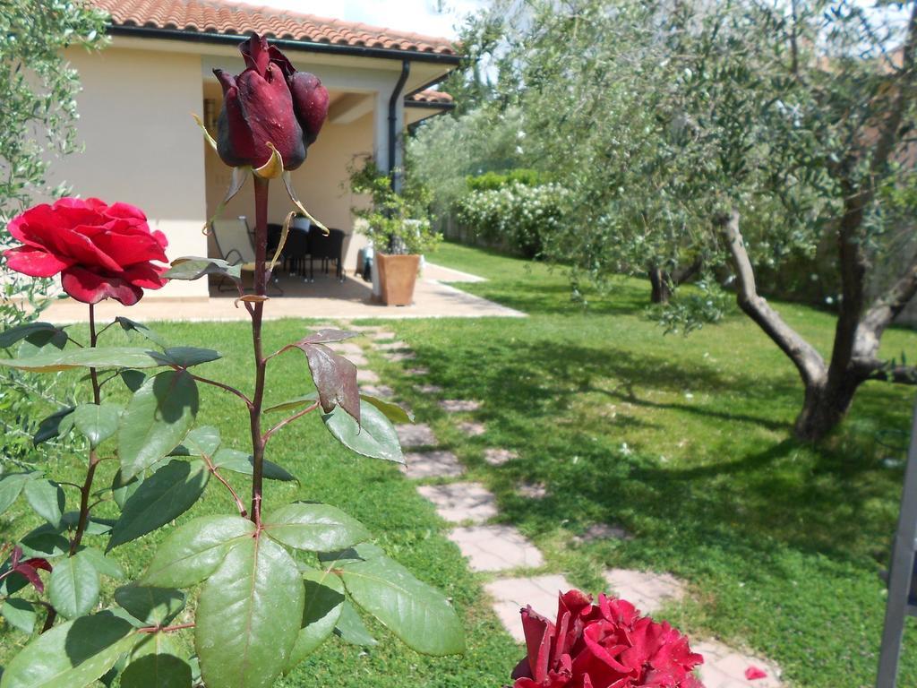 Гостьовий будинок Poggio Degli Olivi Сатурнія Екстер'єр фото